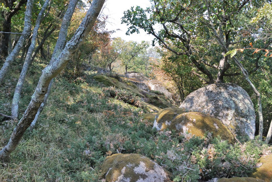 Beglik Tash-megalithic sanctuary, Bulgaria