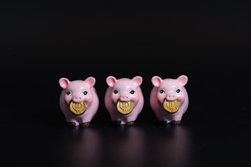 Figures of pigs with coins. Symbol of 2019