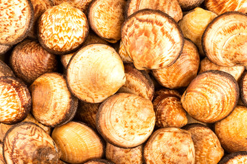 seafood, clams and steamed