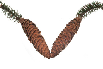 cone isolated on white background