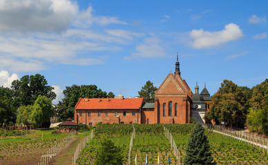 Dominican Church and Convent of St. James in Sandomierz