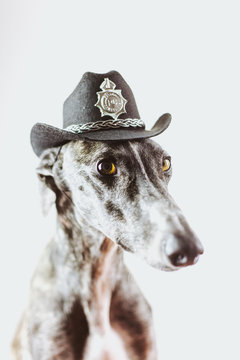 There's a new sheriff in town!