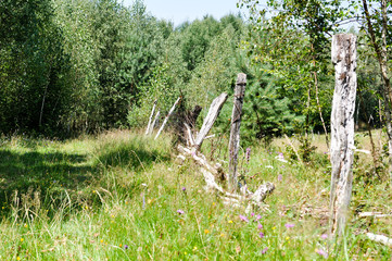 Maramures, Rumänien