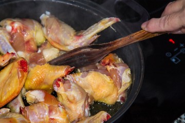 preparing casserole of chicken stew