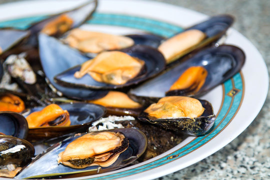 plate of steamed mussels