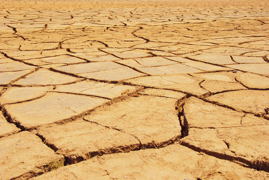 Tierra cuarteada por la sequ&iacute;a 