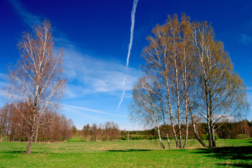 Early spring panoramic landscape of meadows and woods with birches in Warmia region of northern Poland © Art Media Factory