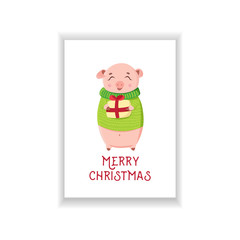 Cute piggy holding wrapped gift on white background. Happy piglet in sweater in winter season. Christmas greeting card 2019.