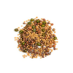 Edible seed mix with dry radish, mustard, lentils, alfalfa seeds