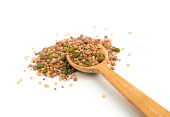 Edible seed mix with dry radish, mustard, lentils, alfalfa seeds