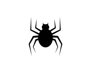 Spider logo template