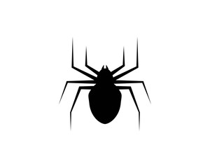 Spider logo template