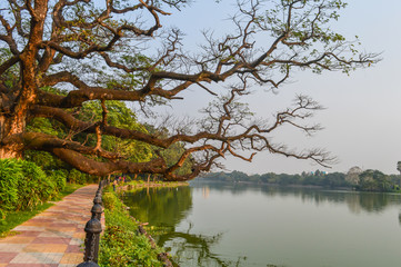 Front lawn for background with concrete pathway.