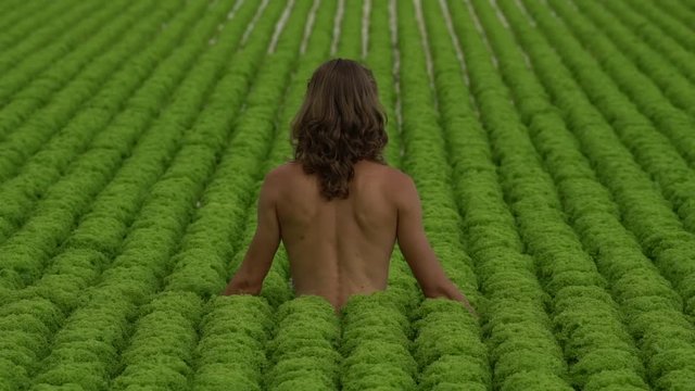 Young vegan man with long hair doing yoga in salad field (back view)