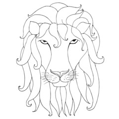 Sketch of lion head silhouette with lush mane on white design element stock vector illustration