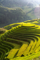 landschapsrijstvelden op terrassen van Mu Cang Chai, YenBai, Vietnam