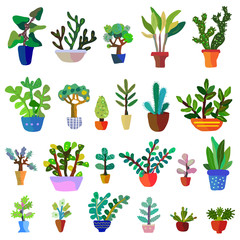 Cactuses set with many flowers, vector graphic illustration