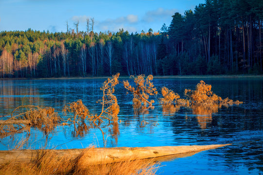 Jesienne Jezioro Skute Lodem