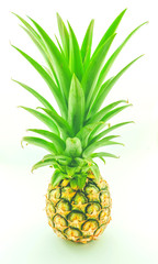 Pineapple with leaves on white background. Designed for white backgrounds.