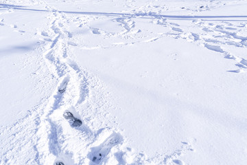 Footprint and hands on snow