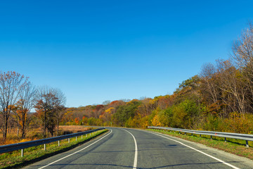 Road in countryside with beatiful nature in autumn season and clear blue sky