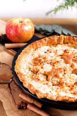 Food concept fresh baked homemade Apple crumble pie in pan on wooden background with copy space