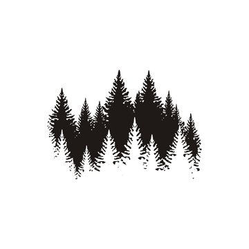 Силуэт леса