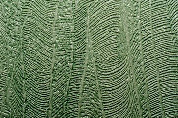 texture green abstract background closeup