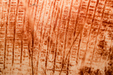 texture colored abstract background closeup