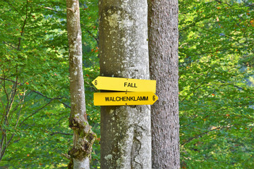 Nature Soul Impression