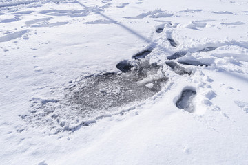 Fototapeta na wymiar Footprint and hands on snow