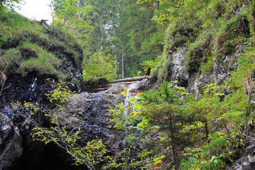 Nature Soul Impression