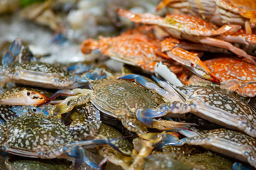 Horse Crab Background Thai Street Food display