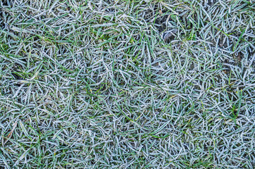 Close-up of frozen grass, background