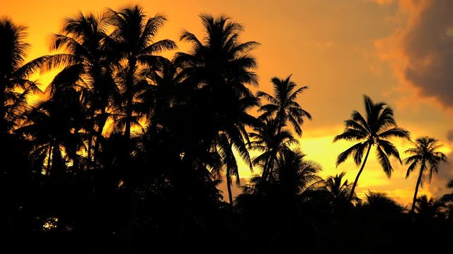 Cloudscape view at sunset of tropical Bora Bora Island lagoon and Palm trees tropical South Pacific French Polynesia