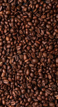 coffee beans background © stenkovlad