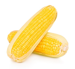 corn isolated on white background