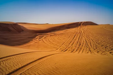 Poster Tire tracks through the desert sand dunes. Feeling lost and alone in this world. © Daphne Bakker