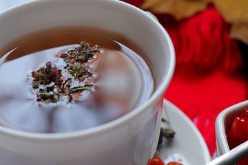 Hot tea made from medicinal plants for the treatment of colds in autumn and in winter on a white background; next to the scarf, red berries in a plate, bunch of cranberries, honey, flowers of thyme.
