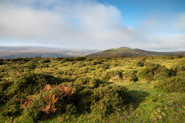 Stunning lansdcape view across Dartmoor during misty Autumnal morning