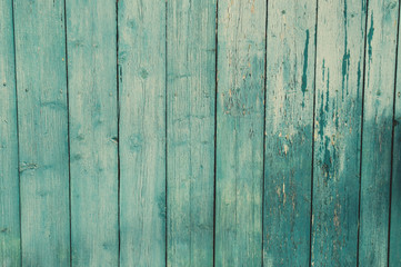 Texture of old blue green tree. Wooden texture background with scuffs, scratches, peeling paint. Background with place for text.