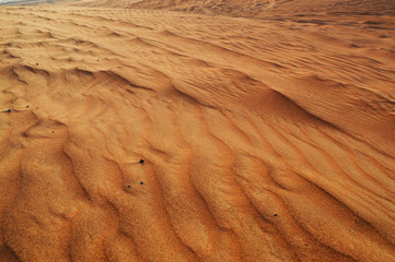 fancy wavy patterns in the sand