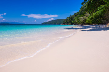 tropical beach in summer and sand sea sky