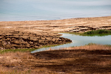 Naklejka premium Mar Morto, Israele