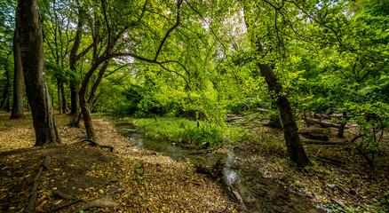 Bridge over troubled waters in the forest. White water rapids flow under the bridge