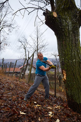 Naklejka premium Lumberjack felling a big tree