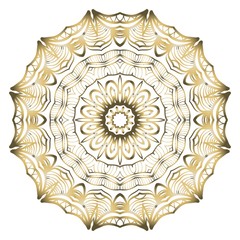 Beautiful round flower mandala. Vector illustration. Abstract.