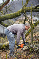 Lumberjack working with chainsaw