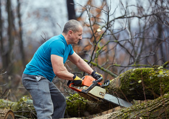 Lumberjack working with chainsaw