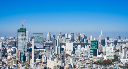 Fototapeta premium 東京 渋谷・新宿周辺